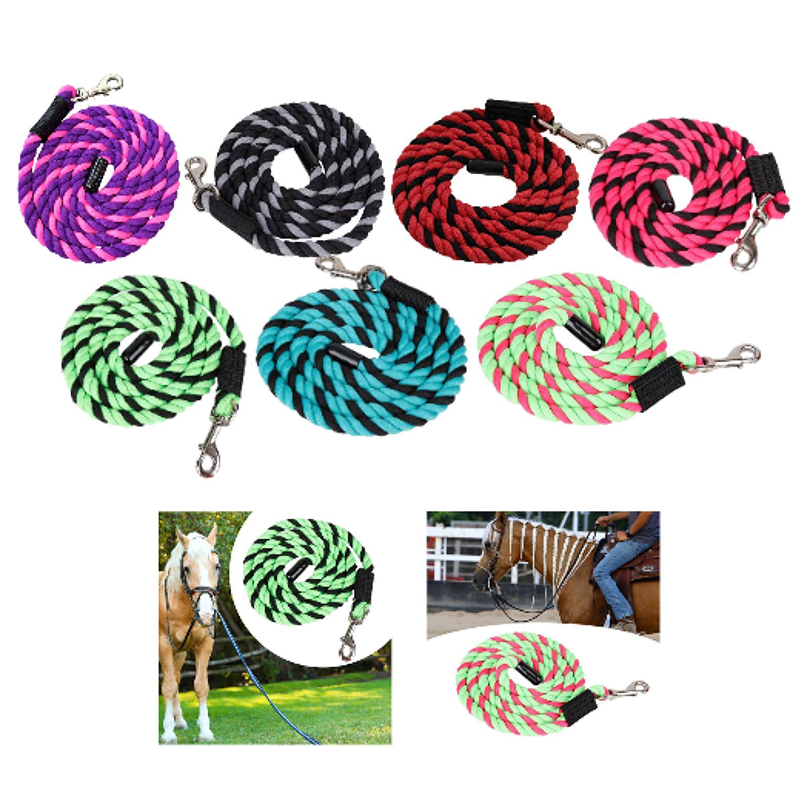 Corde de conduite pour chevaux - Lunge Line Horse avis et prix